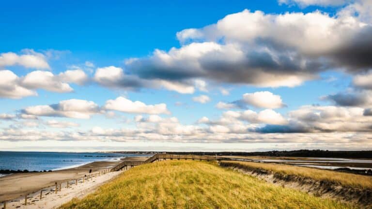 Erosion Control